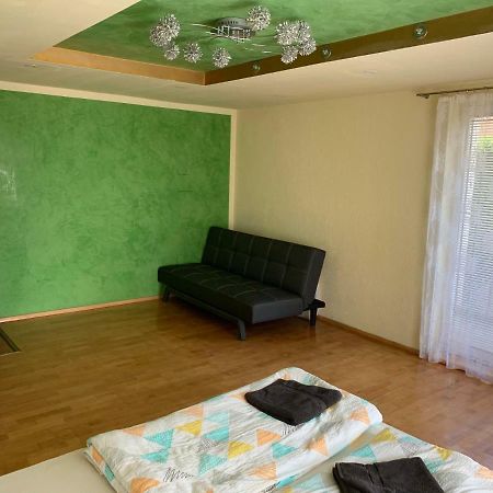 Nexi S Appartement An Der Enns 9 Radstadt Εξωτερικό φωτογραφία